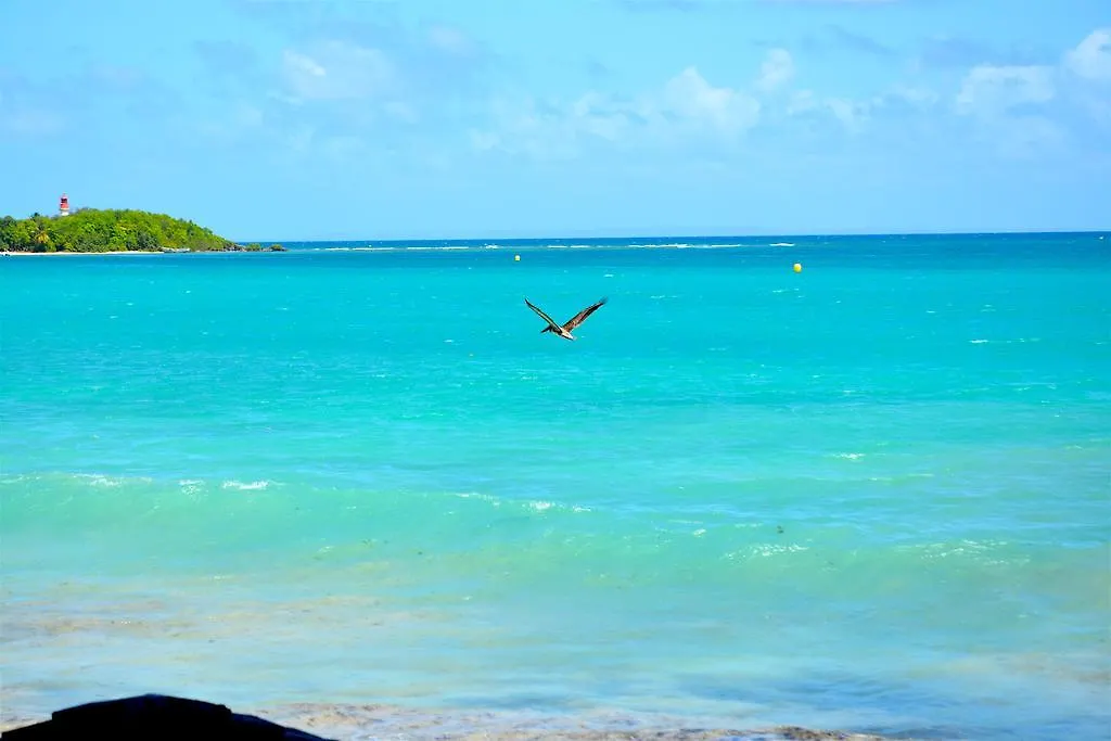 Wanalao- Duplex Vue Mer Et Plage Privative Le Gosier  Guadeloupe